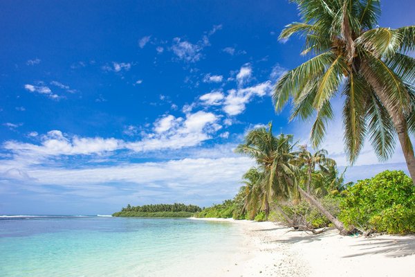 Découvrez le domaine laborde : votre refuge de camping naturiste